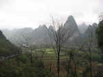 guilin - Li - 24-02-04 - 132.jpg (78715 bytes)