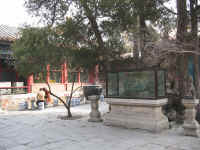 QIANLONG GARDEN - 1.jpg (178808 bytes)