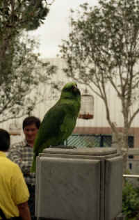 2004-02-29-020.jpg (80546 bytes)