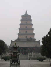xian-pagode oie sauvage-007.jpg (44250 bytes)