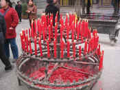 xian-pagode oie sauvage-012.jpg (129327 bytes)