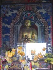 xian-pagode oie sauvage-018.jpg (94046 bytes)