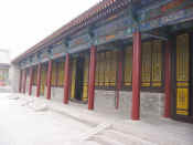 xian-pagode oie sauvage-026.jpg (77880 bytes)