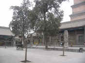 xian-pagode oie sauvage-027.jpg (106254 bytes)