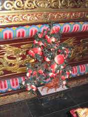 xian-pagode oie sauvage-036.jpg (133069 bytes)