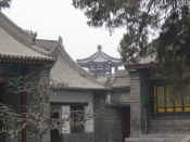 xian-pagode oie sauvage-041.jpg (96660 bytes)