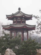 xian-pagode oie sauvage-046.jpg (76615 bytes)