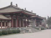 xian-pagode oie sauvage-053.jpg (66086 bytes)