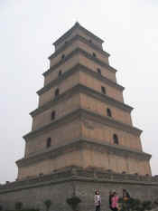 xian-pagode oie sauvage-054.jpg (53211 bytes)