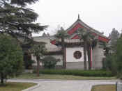 xian-pagode oie sauvage-063.jpg (90718 bytes)