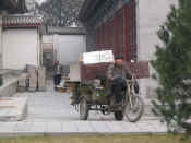 xian-pagode oie sauvage-064.jpg (90431 bytes)