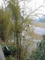 yangshuo - bis - 05.jpg (162219 bytes)