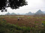 yangshuo a gulin - 03.jpg (104679 bytes)